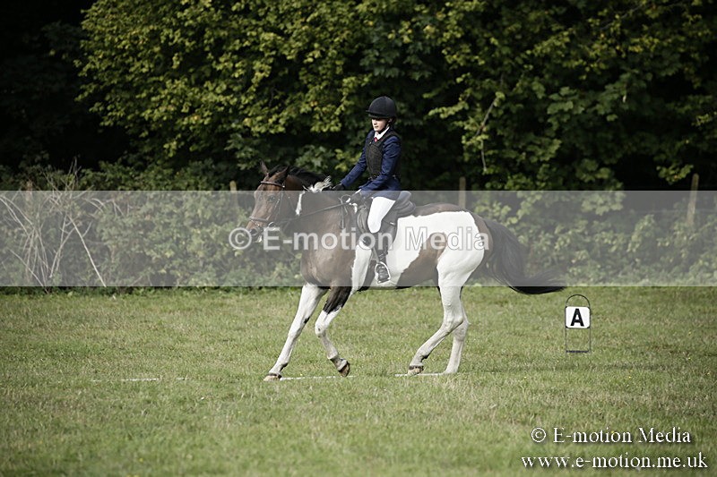 BVR090918 113 - BVRC Dressage and Show Jumping 09/09/18