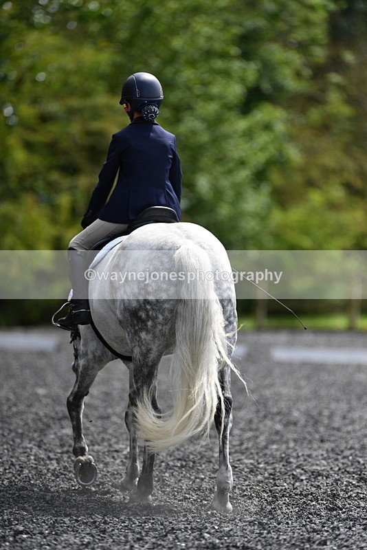 WJ5_1571 - Time 14:20 to 15:01