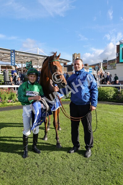 yr08102022r2-56 - Race 2 2.05pm The Coral Rockingham Stakes