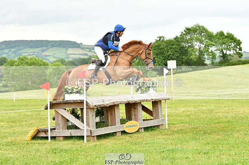 250524A-164337-14828 - C-273-Tim.Cheffings-HEARSAY.LARK.RISING