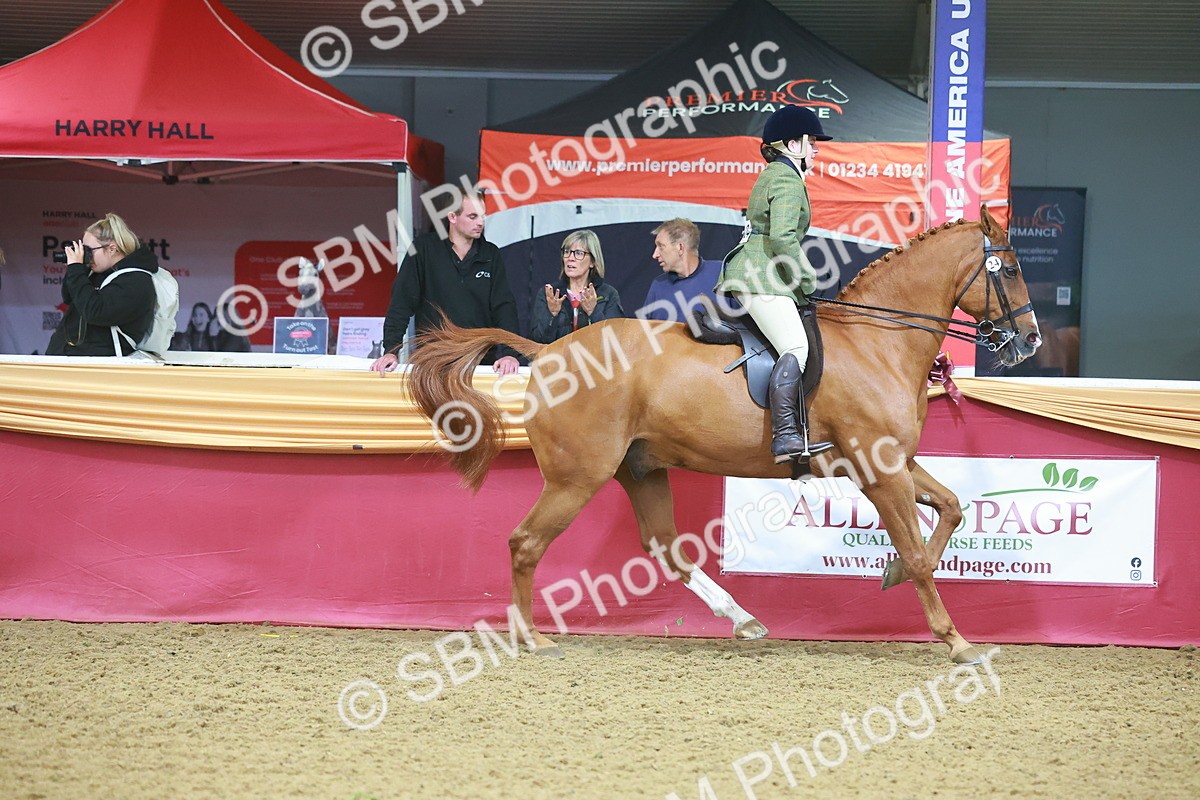 SBM_09628 - Class 102 - HOYS Veteran Qualifier - Ridden Veteran