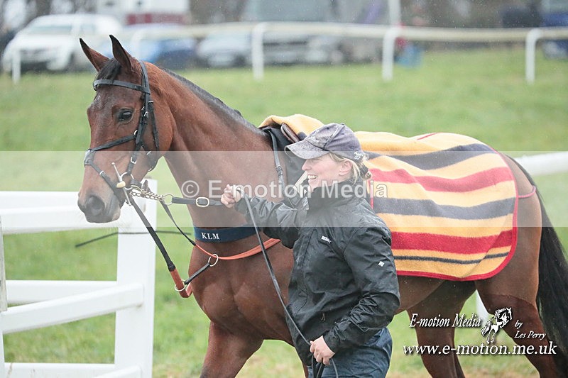 PtP 101223 169 - New Forest Hounds PtP Larkhill 10/12/23