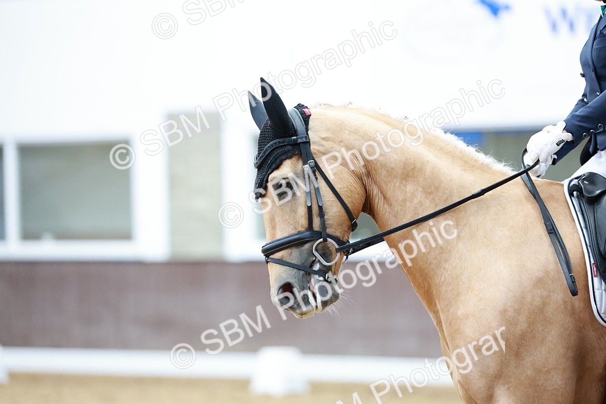 SBM_008719 - Class 6b - Novice 6 - 11.02-12.19
