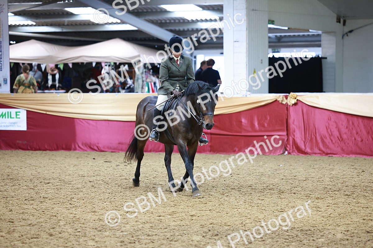 SBM_18851_Class 952 - MM Ridden Supreme Final - Julie Moxon