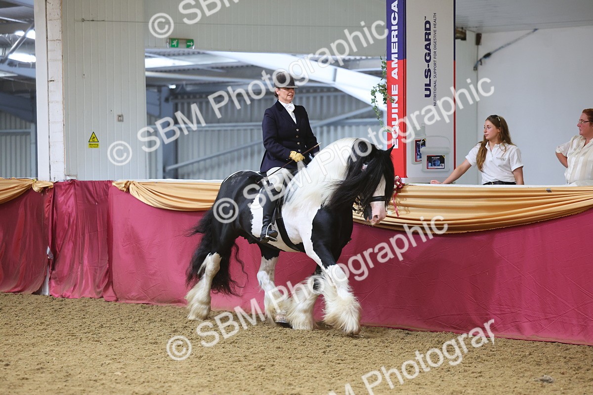 SBM_24985 - Grand Supreme Final Overall Champion