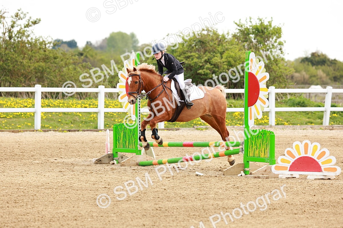 SBM_003546 - Class 2 - 50cm