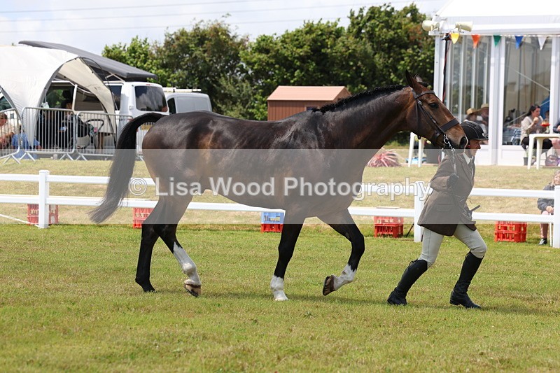 3E7A1742 - Class 9: Open Hunter