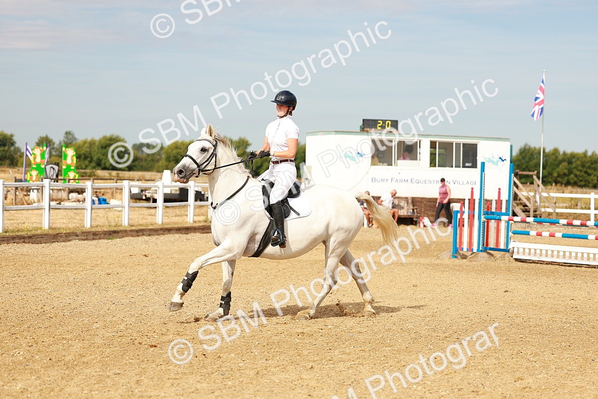 SBM_002126 - Class 9 - Senior British Novice - 90cm