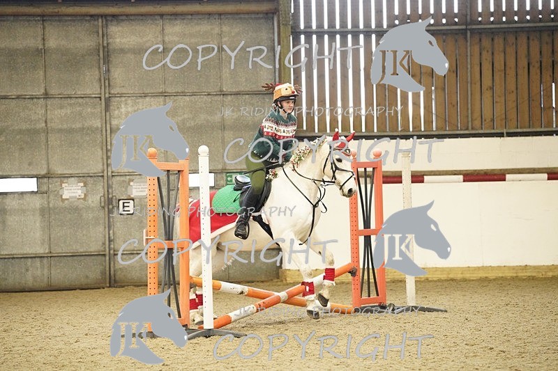 _DSC3278 - 50cm/60cm Pairs