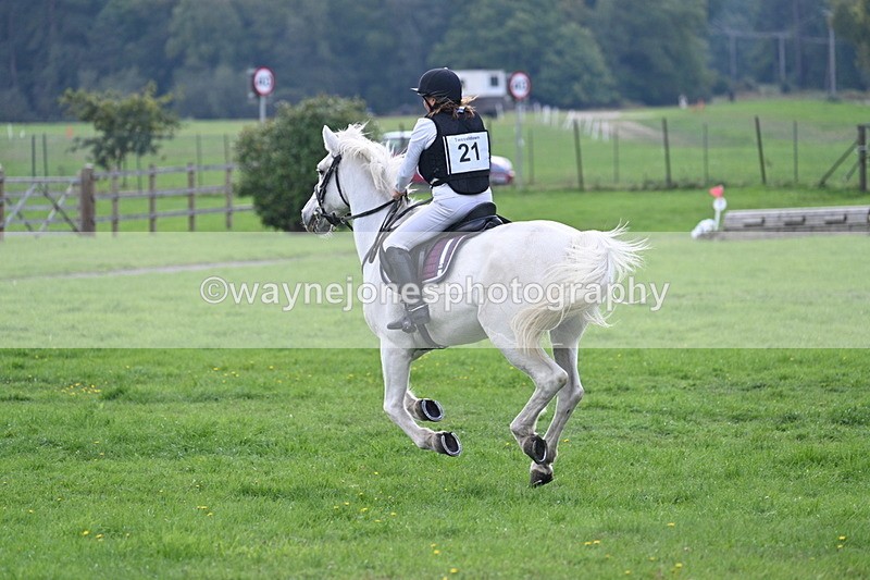 WJ7_4787 - 60cm Time 11:03 to 11:10