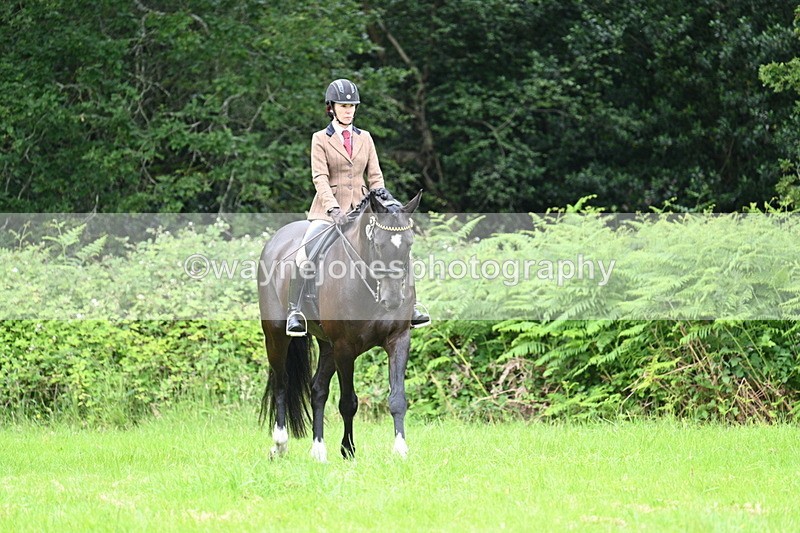 WJ7_3840 - Class 14A Handsome Gelding