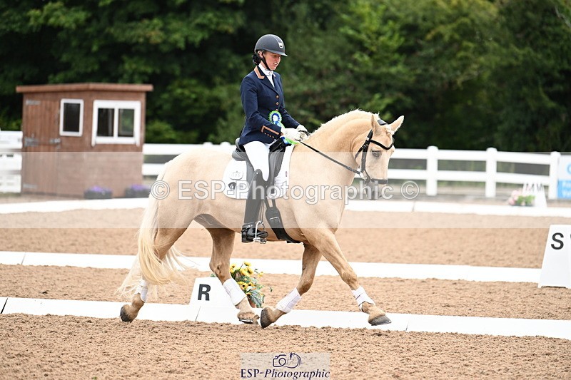 240815A-153107-02337 - Cls 9-P Freestyle Adv Medium Bronze