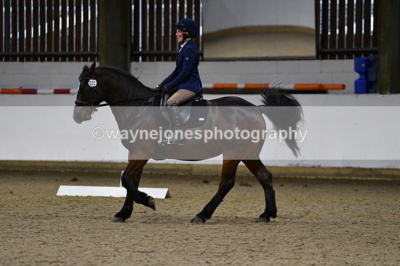 WJ5_8515 - Class 5 Novice Test 3