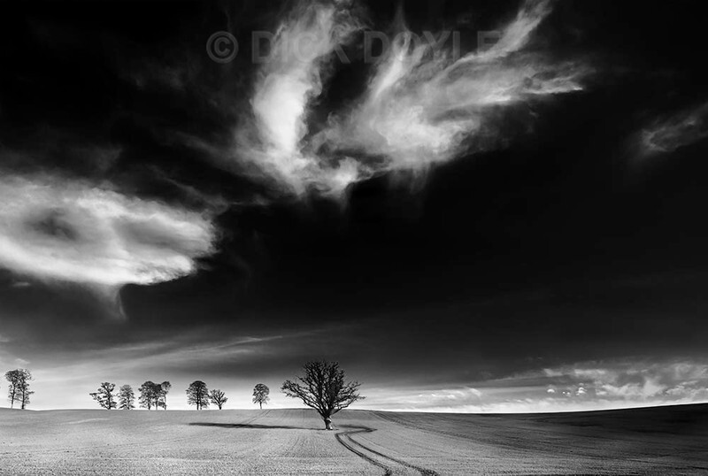 Wave - MONOCHROME LANDSCAPES