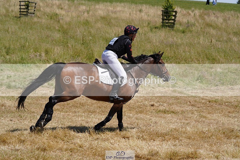 240629X-133310-2944 - 155-Jodi_Cameron-WILLOWAY_HANDSOME_HARRY