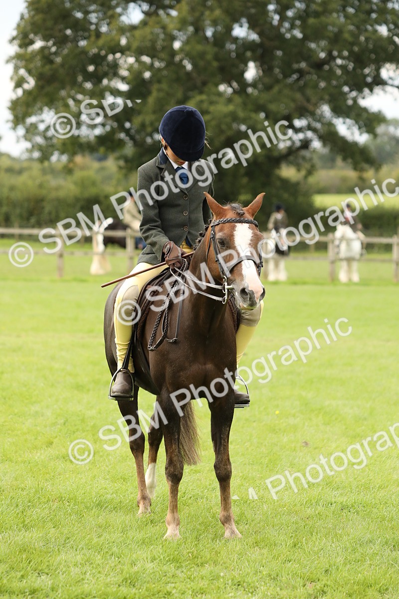 SBM_71662 - S41 - Ridden Equitation (Best Rider)