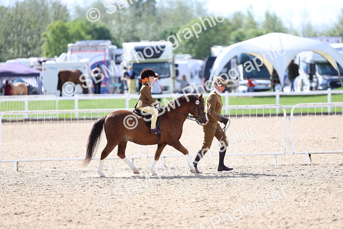 SBM_13069 - Class 309 - Lead Rein Pony