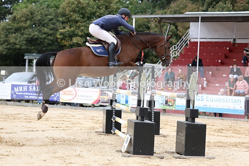3E7A3483 - Class 9: Senior Foxhunter/1.20 open