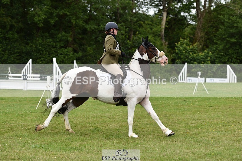 140102-212744-02204 - BE 90 SJ 10-00 to 11-00