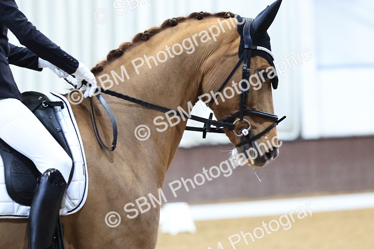 SBM_001399 - Class 19- M5