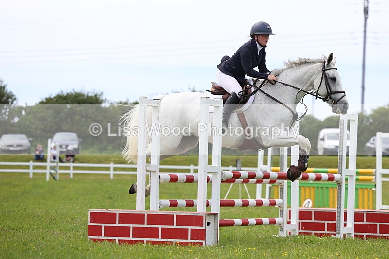 3E7A1817 - Class 13: Senior British Novice/90cm open