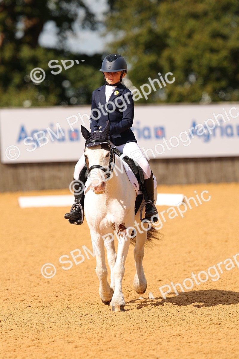 SBM_44101 - D22 - Junior Championship - Intro B