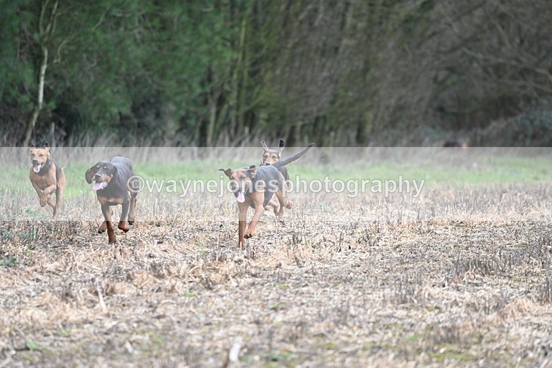 WJ6_9422 - Line Four