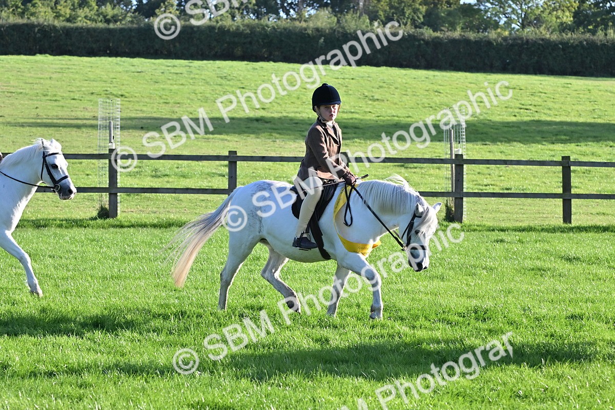 SBM_53096 - S23 - First Ridden Mountain & Moorland Pony