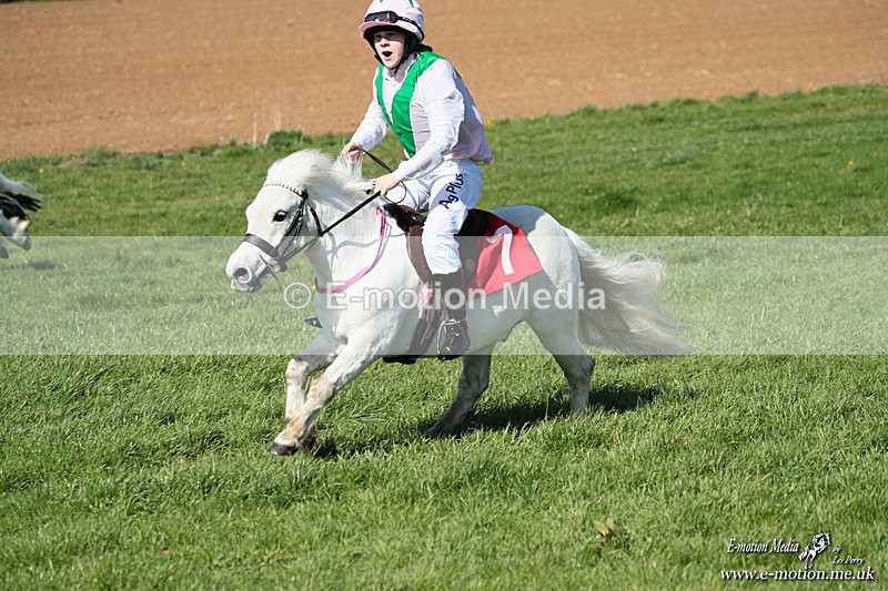 Shet 060426 174 - Shetland Pony Racing Paxford Races Easter Mon 06/04/26