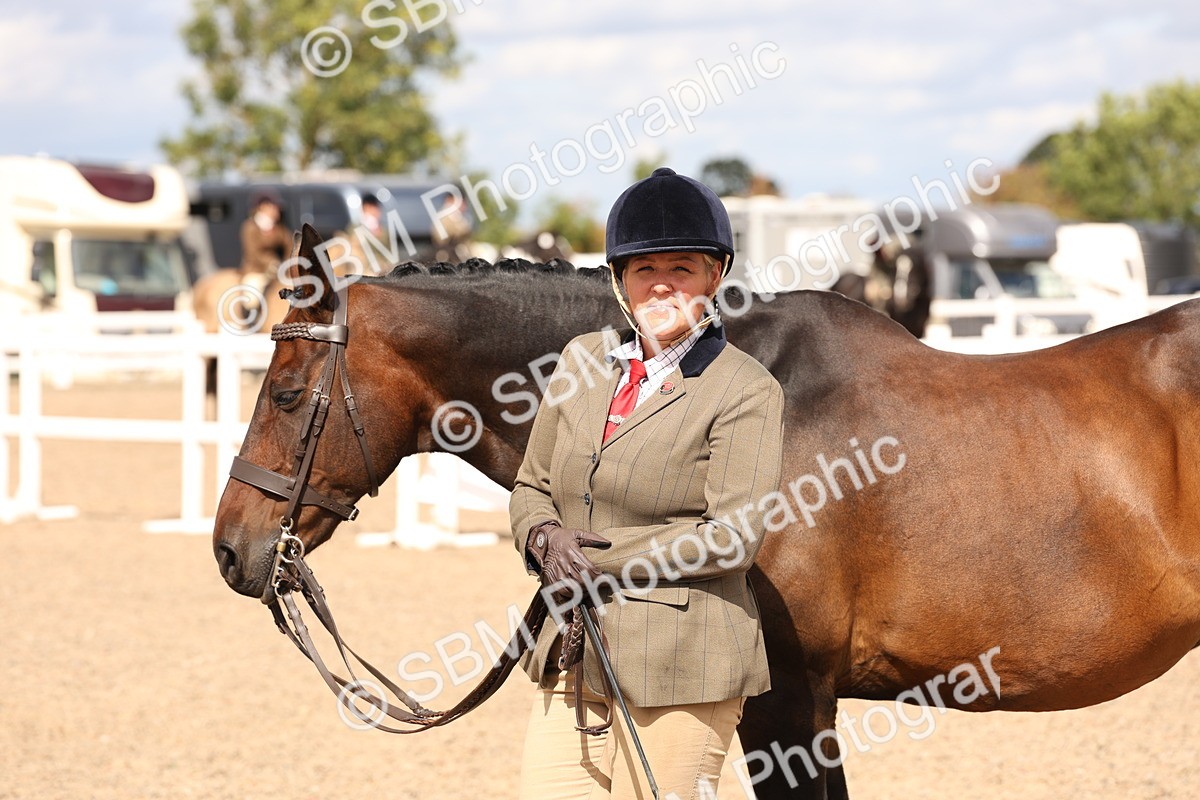 SBM_14713 - Class 208 - IH Veteran Horse