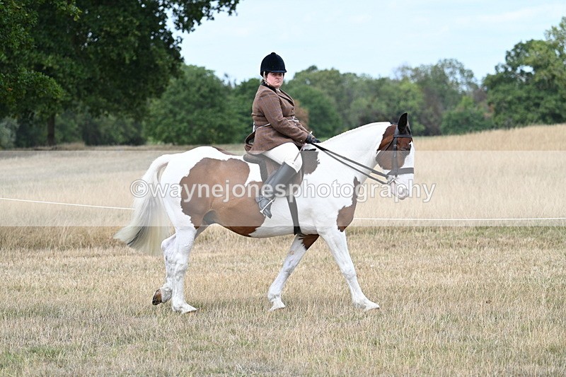 WJ7_4655 - Class 12 Ridden Cob