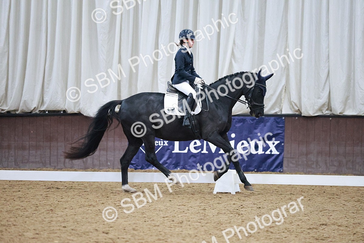 SBM_004709 - Ring 3 - International -  Working Hunter Classes 23-2-25