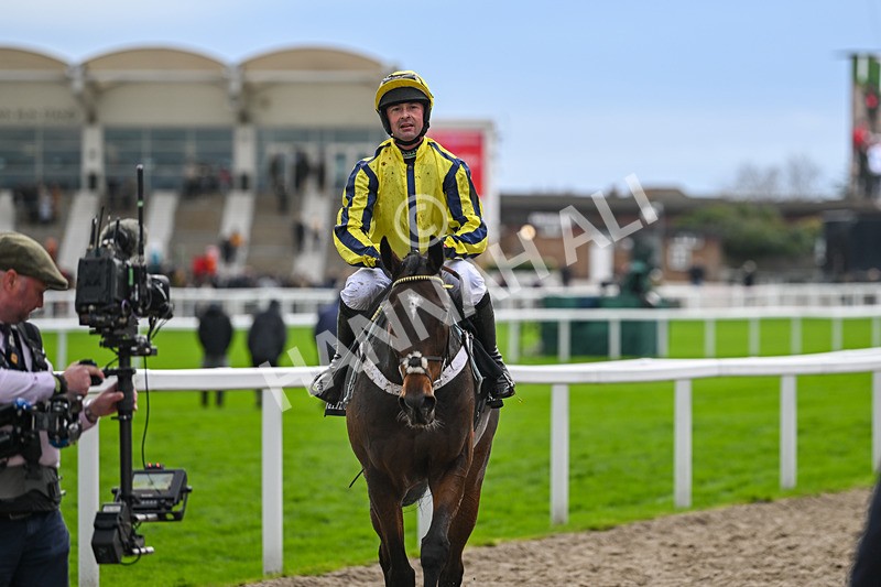 171124-Race 2-Peaky Boy-2998 - Race 2