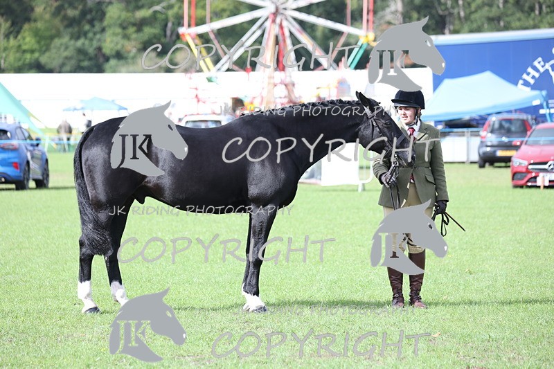 APP_2594 - Class 9 Veterans in hand