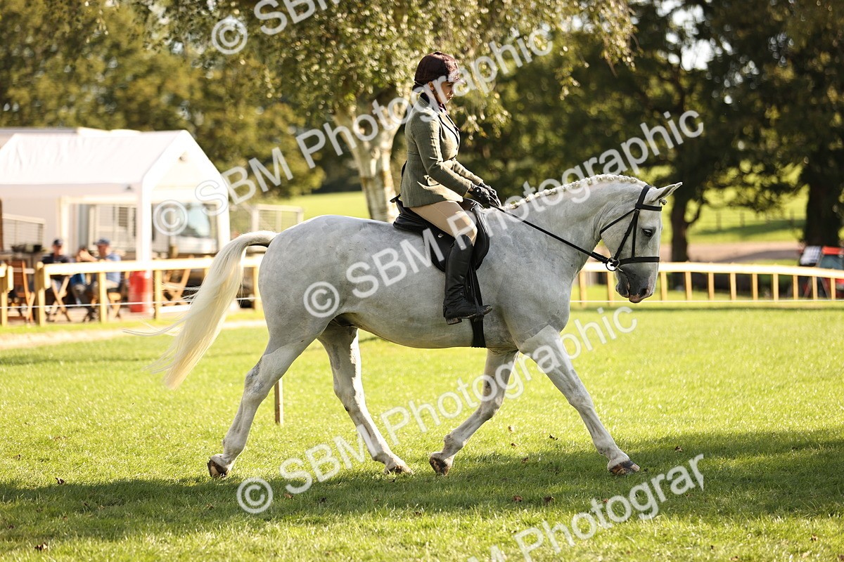 SBM_26419 - S6 - Novice & Newcomers Ridden Horse