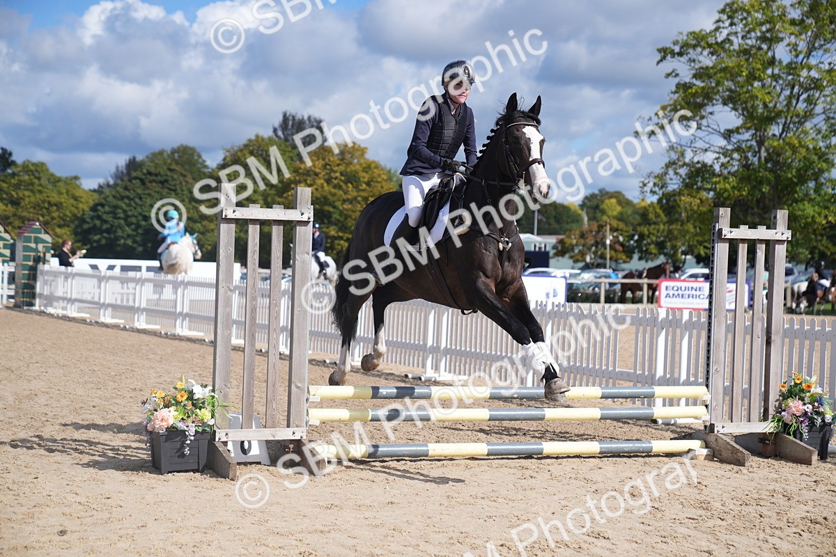 SBM_02544 - J54 Clear Round 45cm