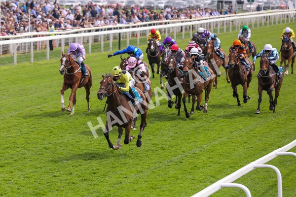 170524-Race 2-Botanical-2154 - Race 2 2.45pm Knights Solicitors Handicap