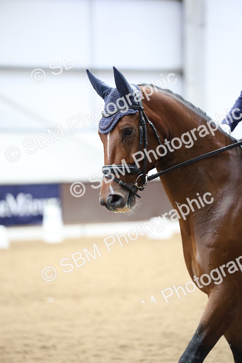 SBM_003477 - Class 5 - Novice 6 Gold - 13.05-14.00