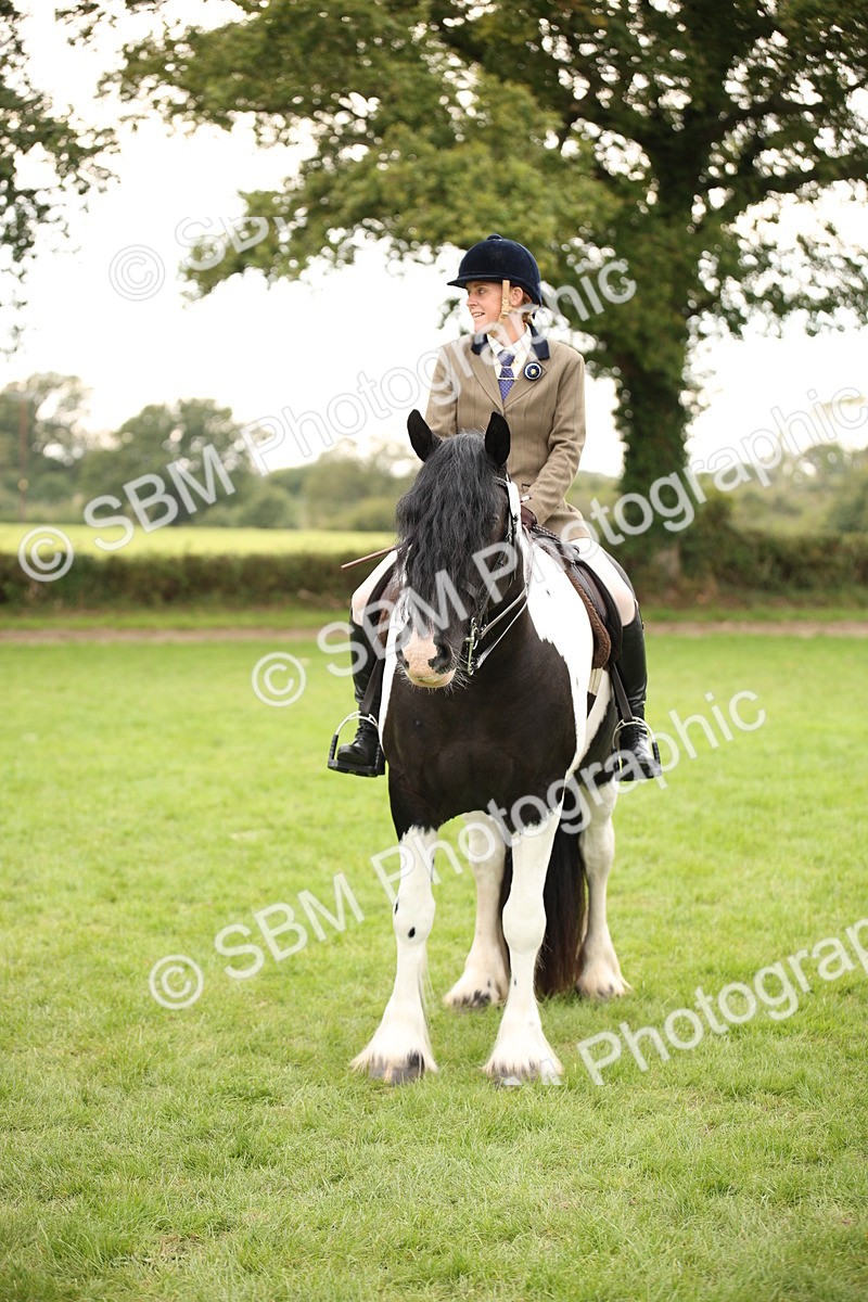 SBM_73577 - S68 - Traditional Cob Ridden