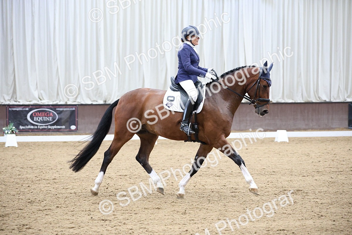 SBM_003464 - Class 5 - Novice 6 Gold - 13.05-14.00