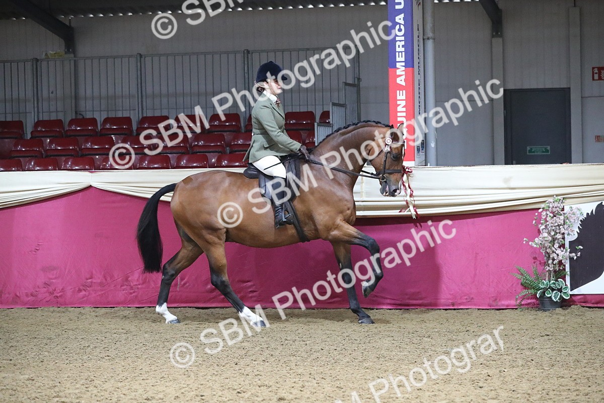 SBM_10369 - Class 102 Equitation (best rider) Adult