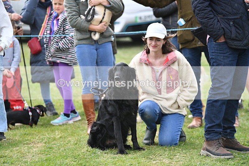 WJ5_0137 - Class 5 Best Veteran / 7 years & over