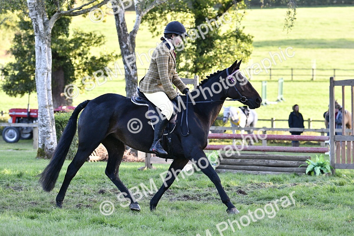 SBM_53578 - S14 - Riding Club Horse