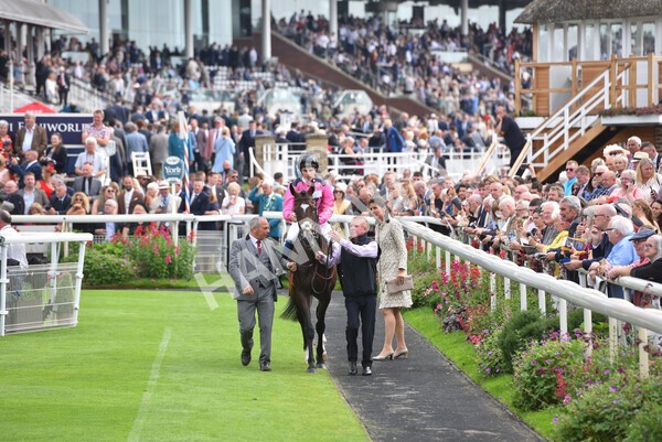yr20082021r2-22 - Race 2 2.25pm Weatherbys Hamilton Lonsdale Cup (British Champion Series race)