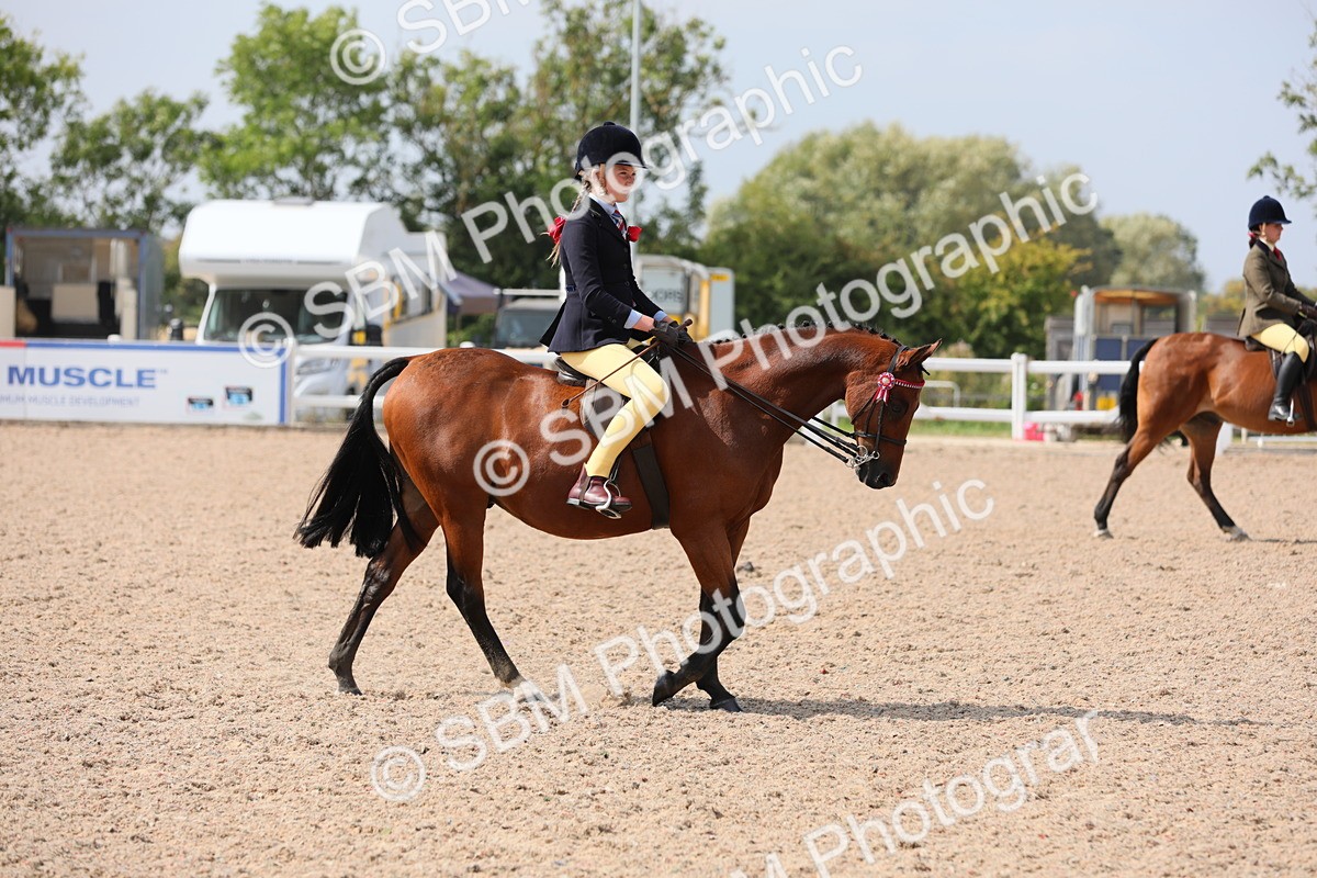 SBM_15561 - Class 311 Ridden Show Pony/ Show Hunter Pony