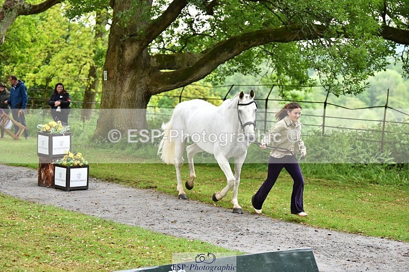 240522-160954-00749 - 156-JAG_WOMANIZER_LADY-Beatrice_Montgomerie