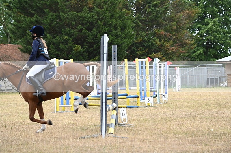 WJ6_0164 - Class 13 Novice Jumping 60cm