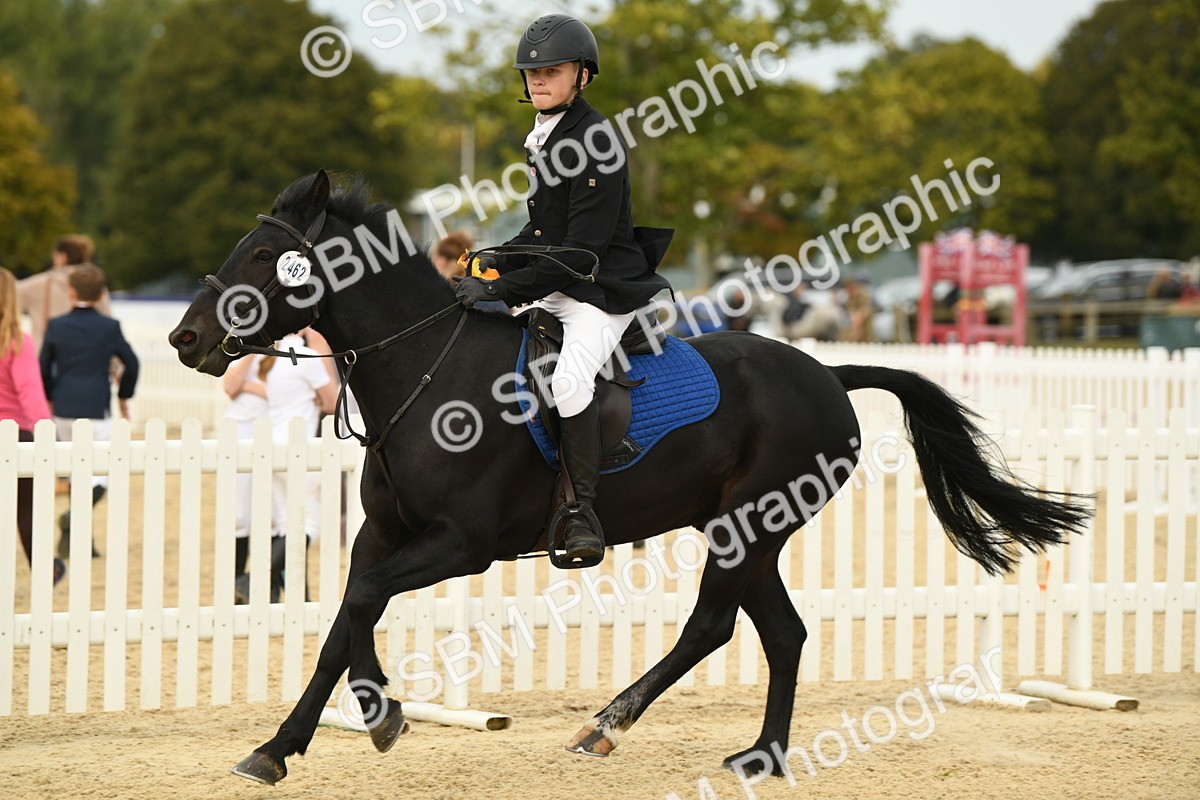 SBM_71210 - J15 - Junior Pony 70cm Championship