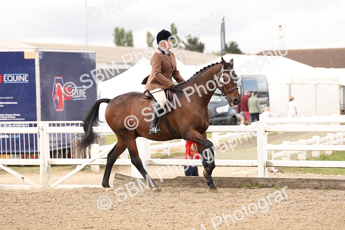 SBM_02866 - Class 53 - Ridden Competition Horse/Pony