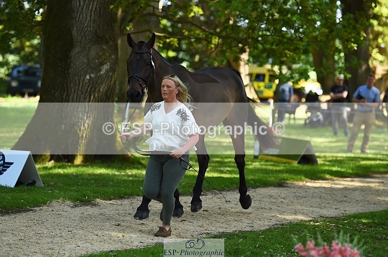 230524-155928-00599 - 207-TYNAN_COOLEY-Lucy_Stimson-WEDTrotUp+DR